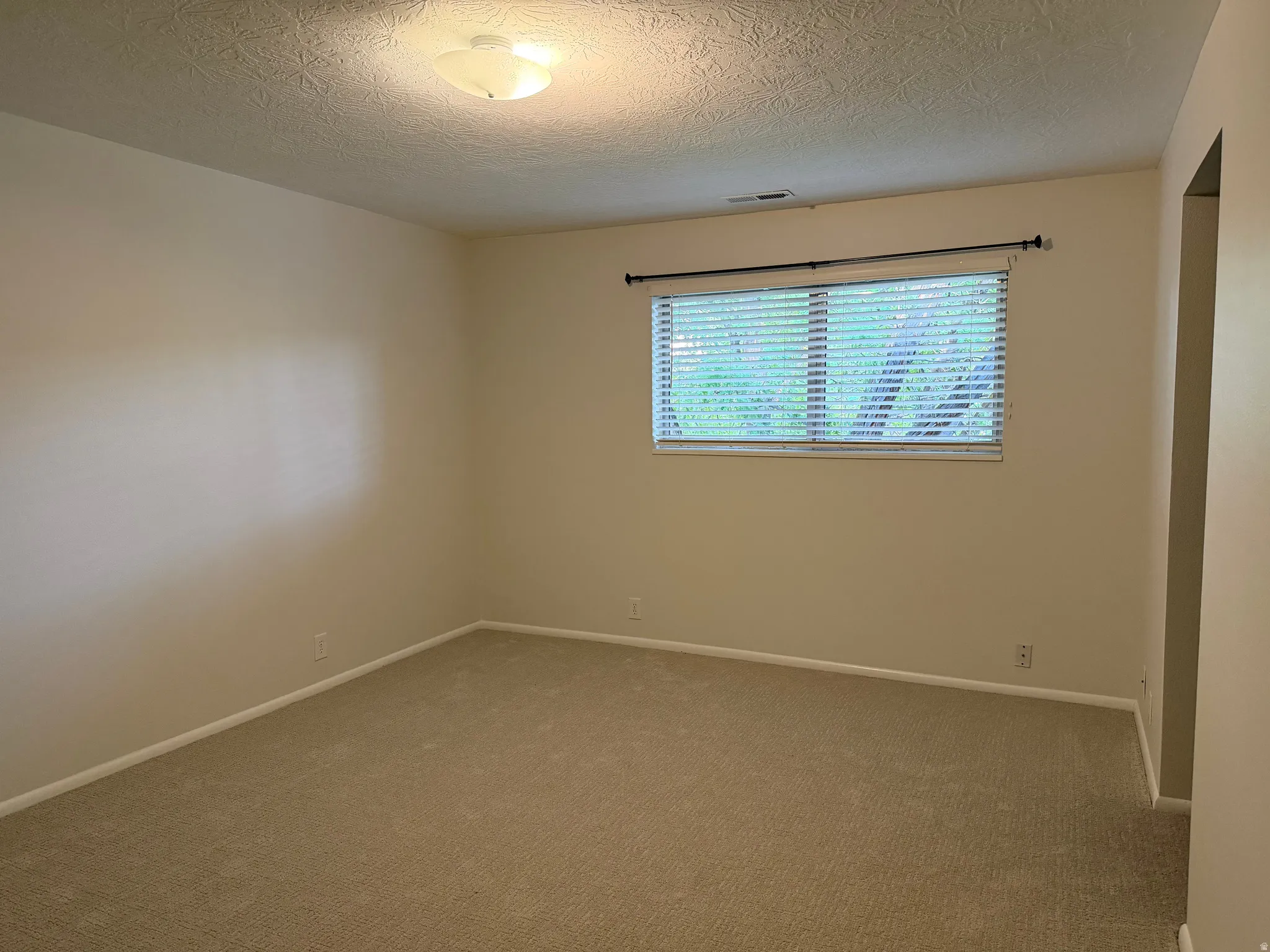 Neutral wall color, wall-to-wall carpeting, window with blinds, and flush mount lighting