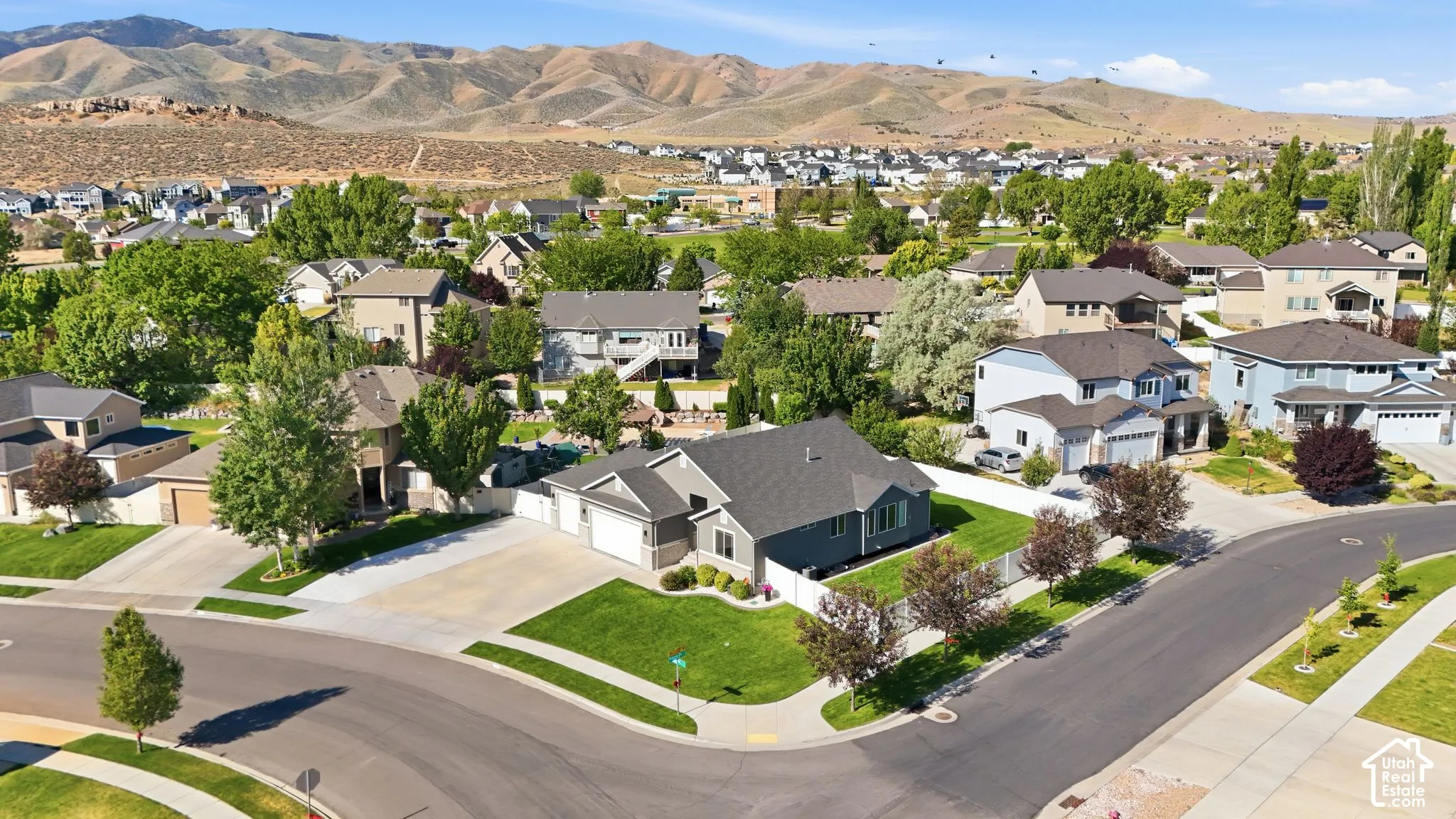 Suburban residential area with established landscaping, paved streets, and mountain backdrop