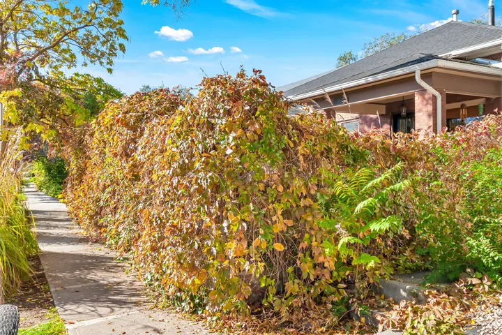 Paved pathway bordered by mature, leafy vegetation leading to a covered porch with a dark-pitched roof