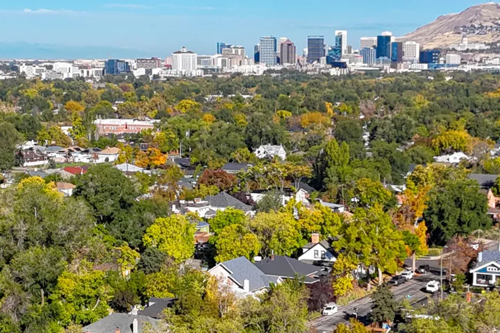 Cityscape with a mountain backdrop, surrounded by dense tree coverage featuring varied foliage