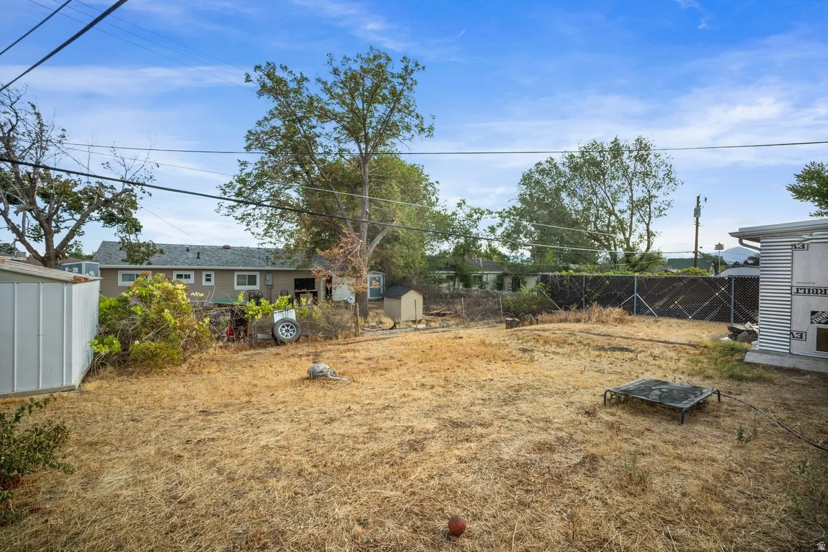 Expansive backyard area with a storage shed and mature trees