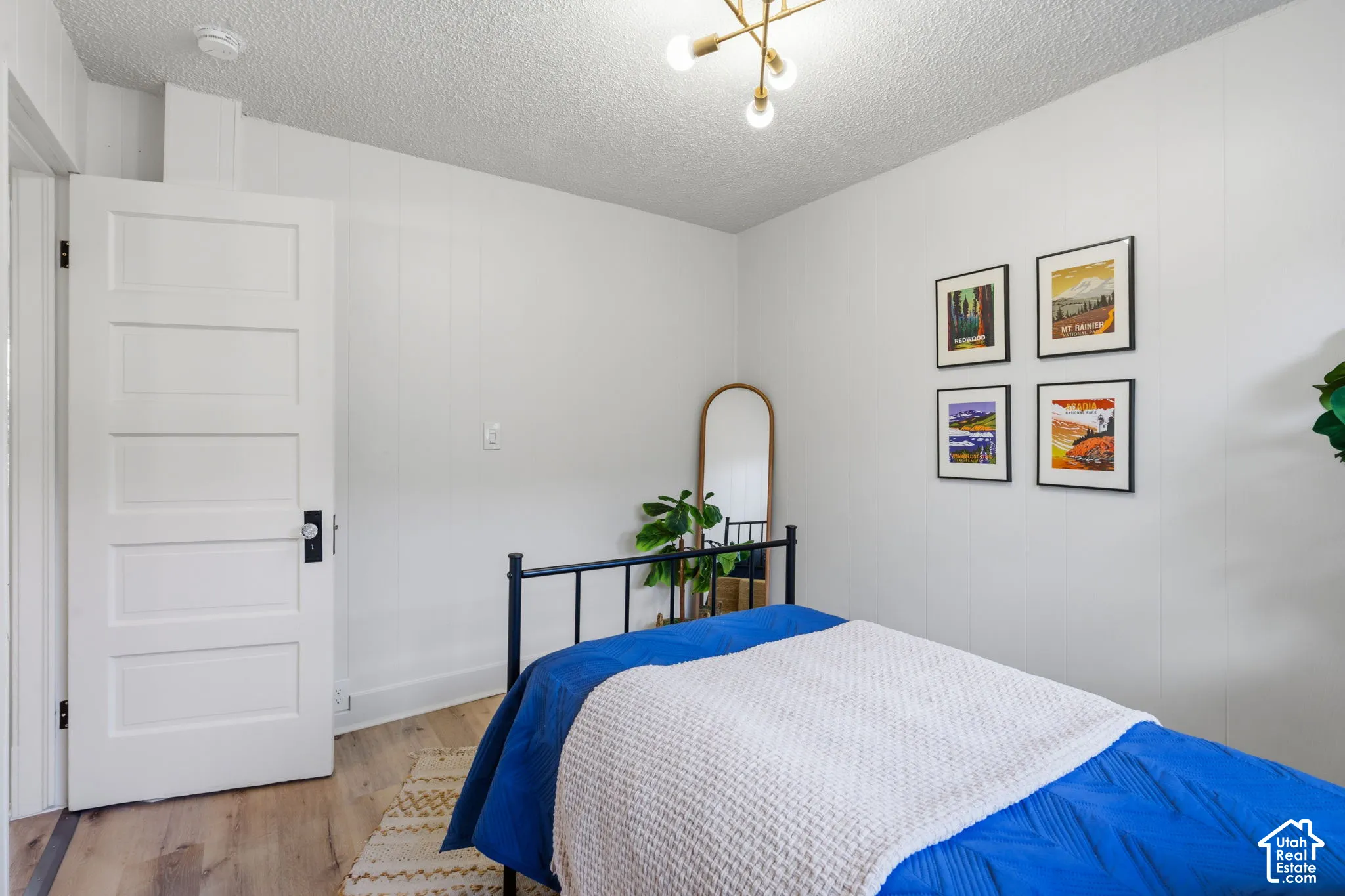 White paneled door, wood-finish flooring, white walls, and a modern ceiling light fixture