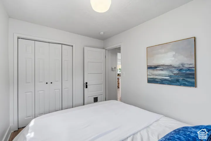 White paneled bi-fold closet doors, white interior door with black hardware, and light-toned flooring
