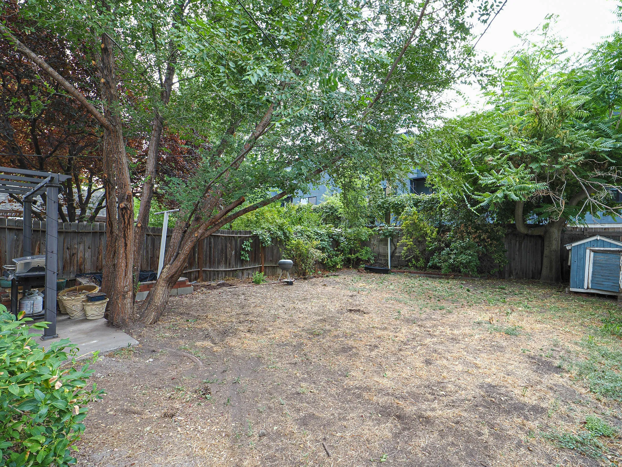 Spacious backyard with mature shade trees, featuring wooden fencing