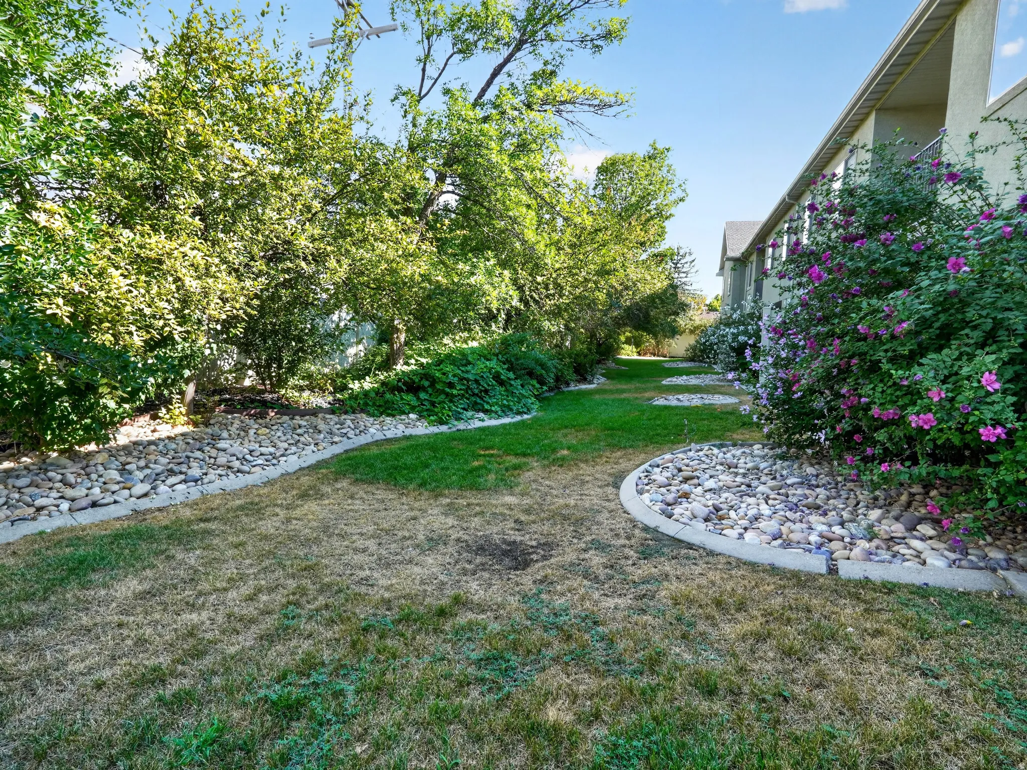 Mature landscaping with lush trees and flowering shrubs frames this expansive backyard oasis