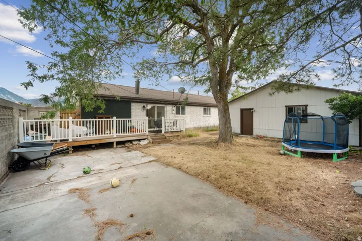 Rear exterior featuring a white-railed wood deck, a detached structure with a brown entry door, a mature tree, and a concrete patio