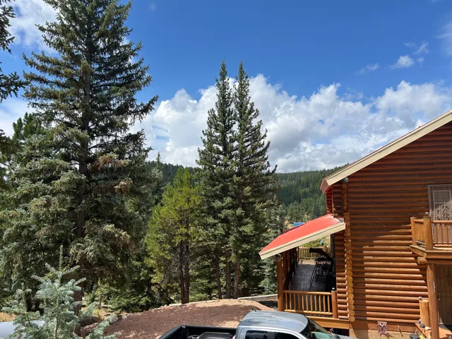 Log-sided exterior with a natural wood finish
