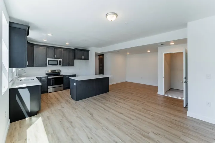 Open-concept living space featuring wood-finish flooring, recessed lighting, and a kitchen with dark cabinetry, light countertops, and stainless steel appliances