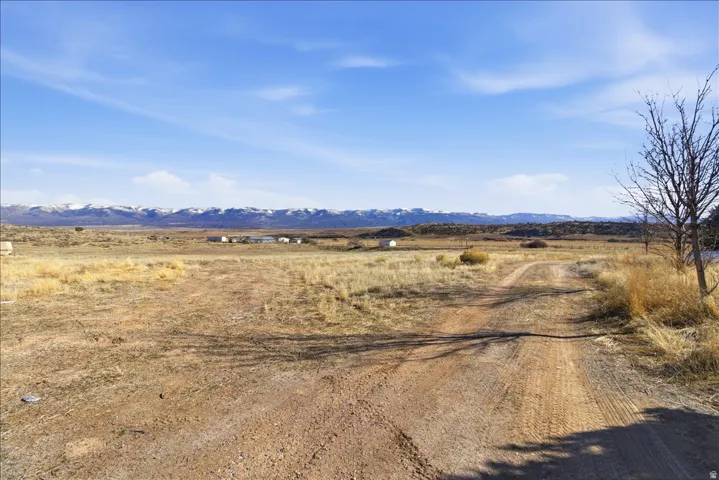 Expansive undeveloped land featuring a dirt road, sparse vegetation, and distant snow-capped mountains