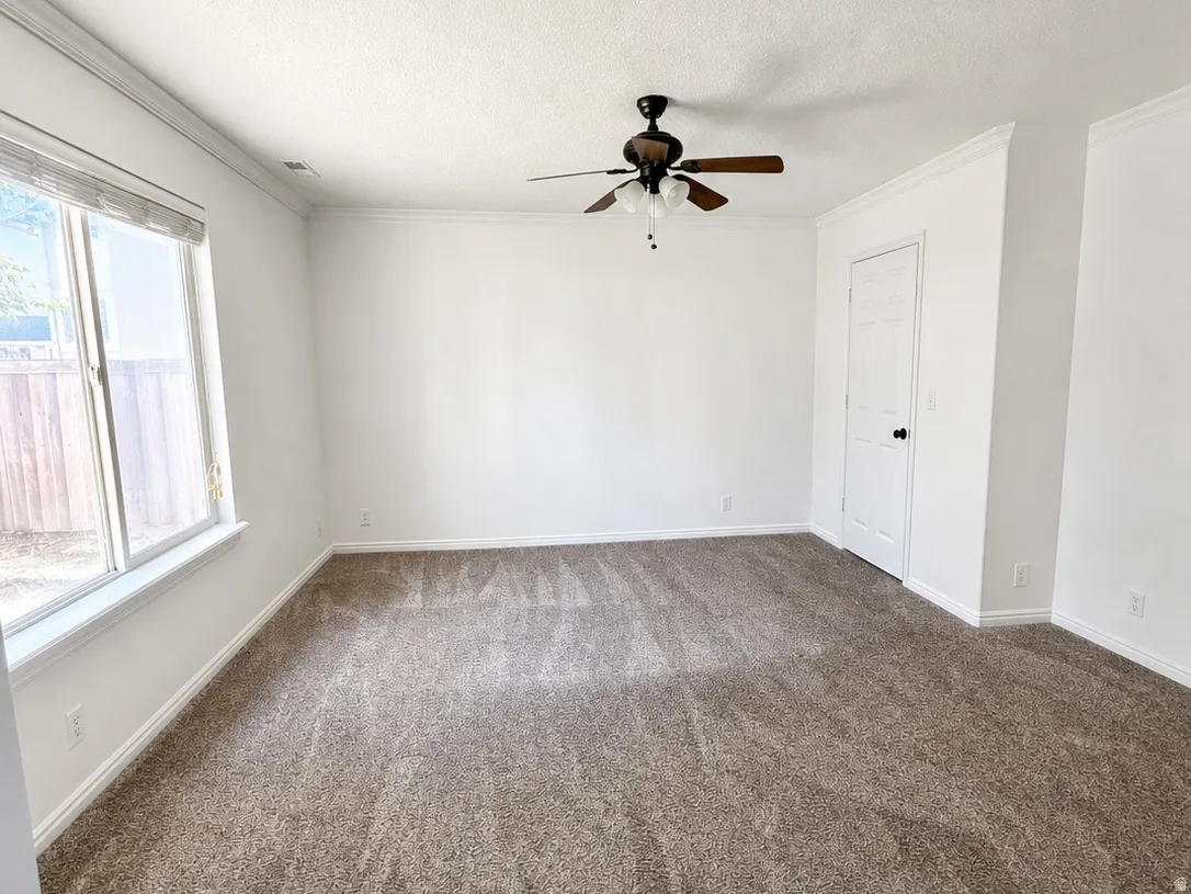 Primary Bedroom featuring neutral carpet, white walls, a ceiling fan with light fixture, and a large window