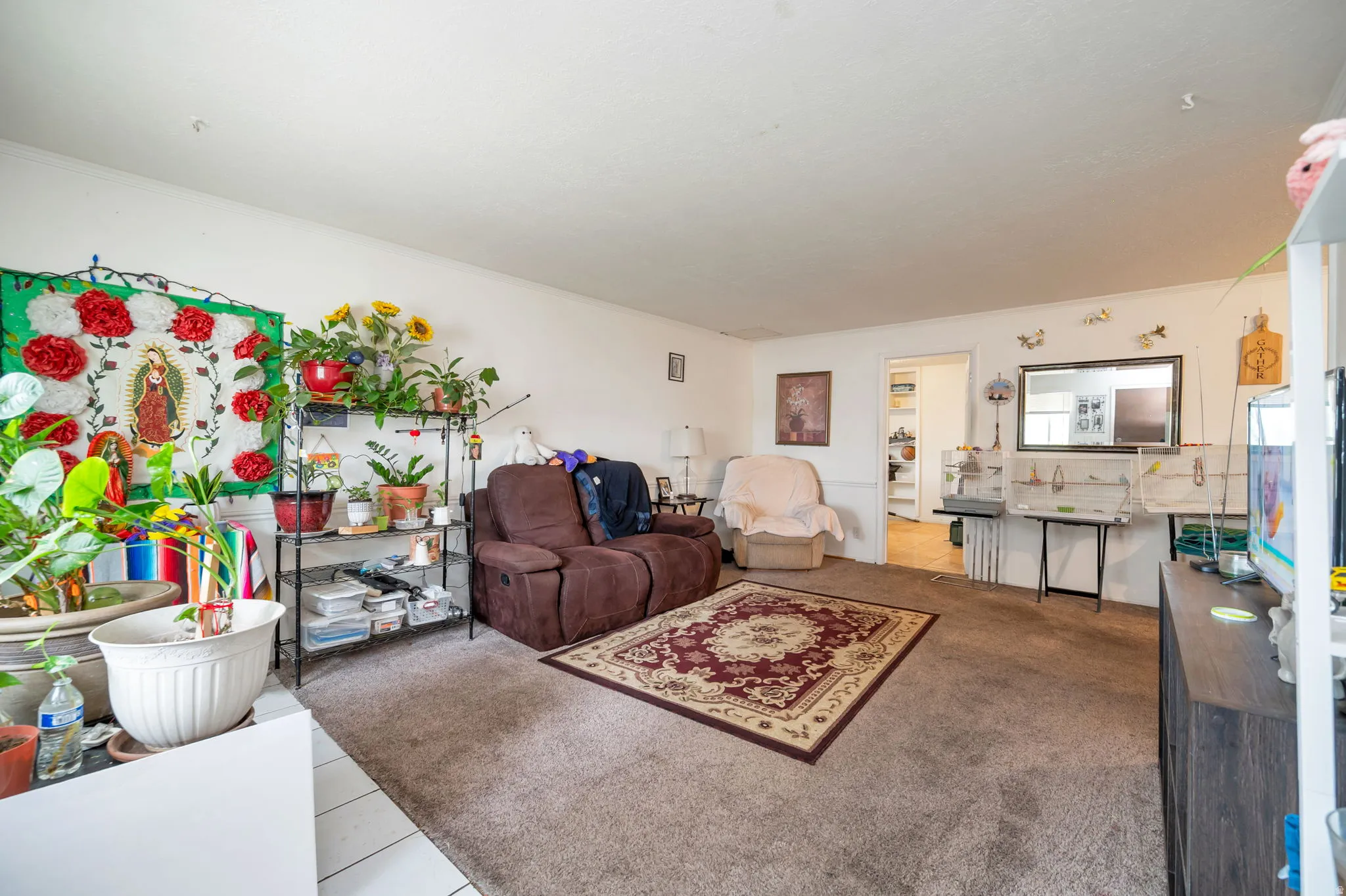 Spacious living room with neutral carpet flooring, recessed ceiling lighting, and large windows providing natural light
