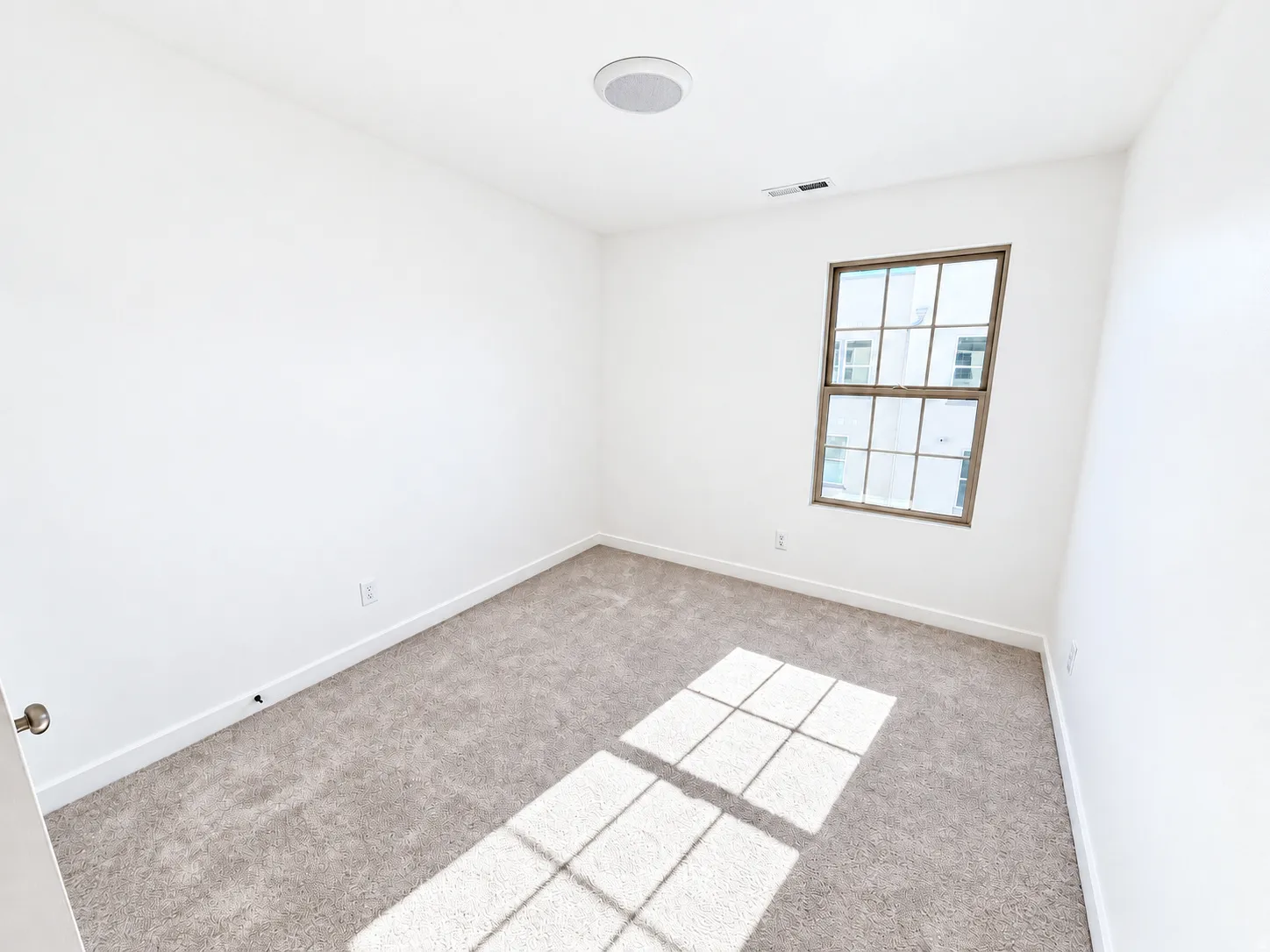 Neutral-toned carpeting, white walls, and a multi-pane window with a light-colored frame