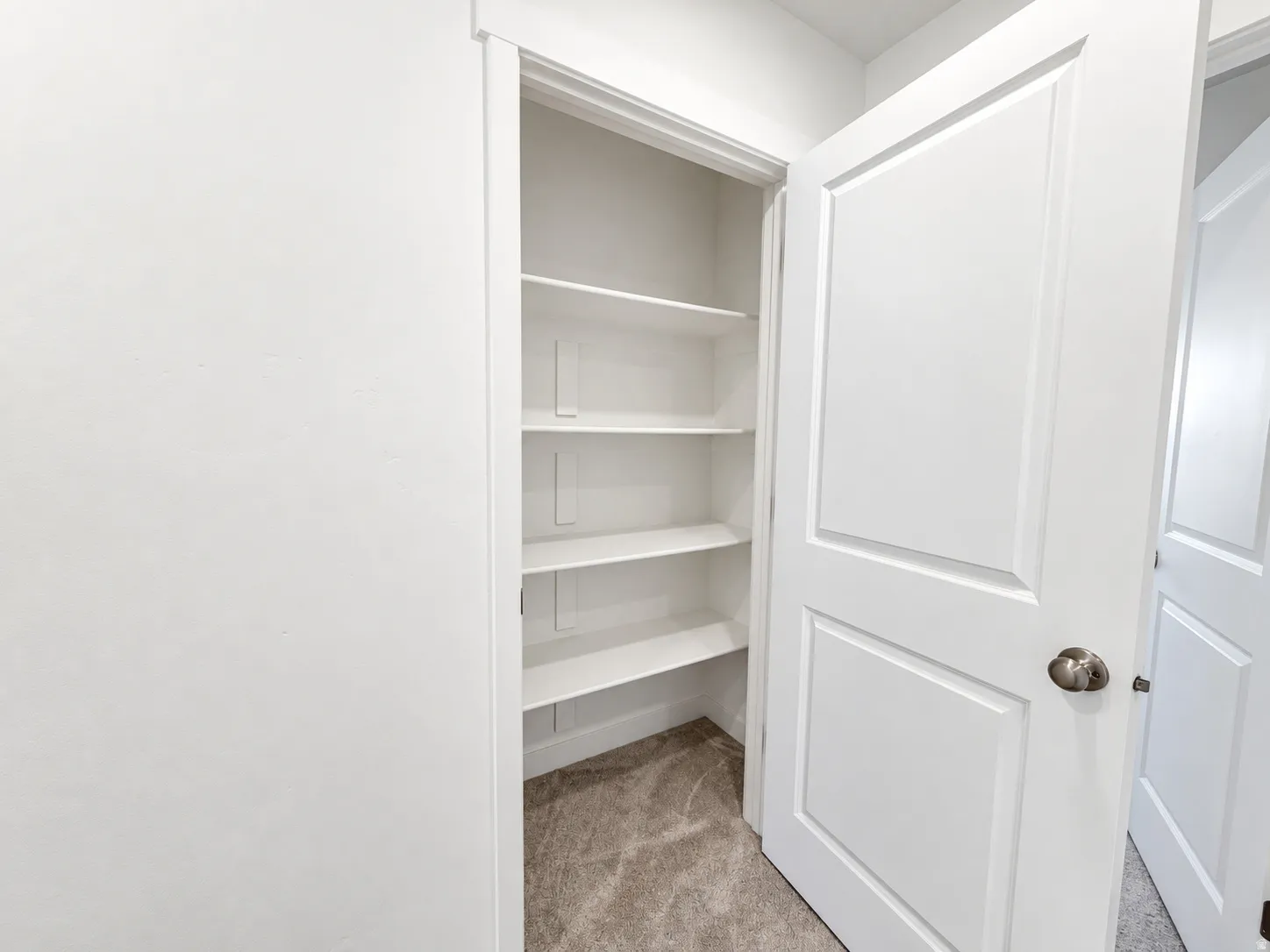 Built-in shelving with adjustable white shelves, a two-panel interior door with brushed nickel hardware, and neutral-toned carpet