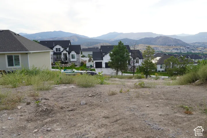 Mountainous backdrop with a neighborhood of varied architectural styles