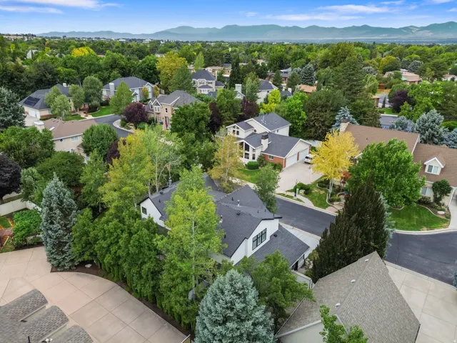 Mature tree canopy with extensive landscaping