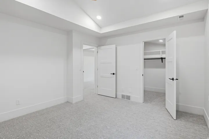 Tray ceiling with recessed lighting, wall-to-wall patterned carpeting, white three-panel interior doors with black hardware, and an open closet with shelving and a hanging rod