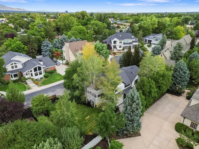Expansive concrete driveway, mature landscaping, and established trees