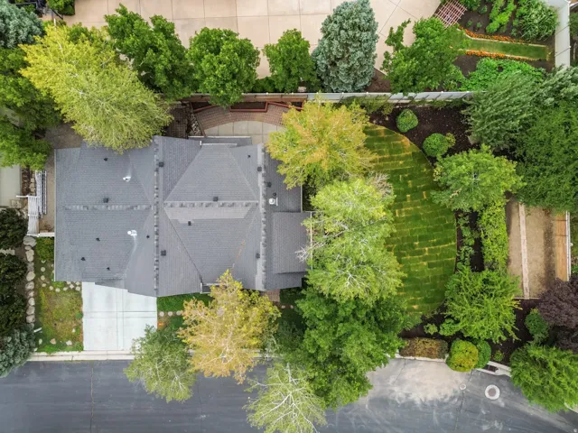 Expansive property featuring a multi-gabled roof, mature trees, a curved lawn area, a paved patio, and established landscaping