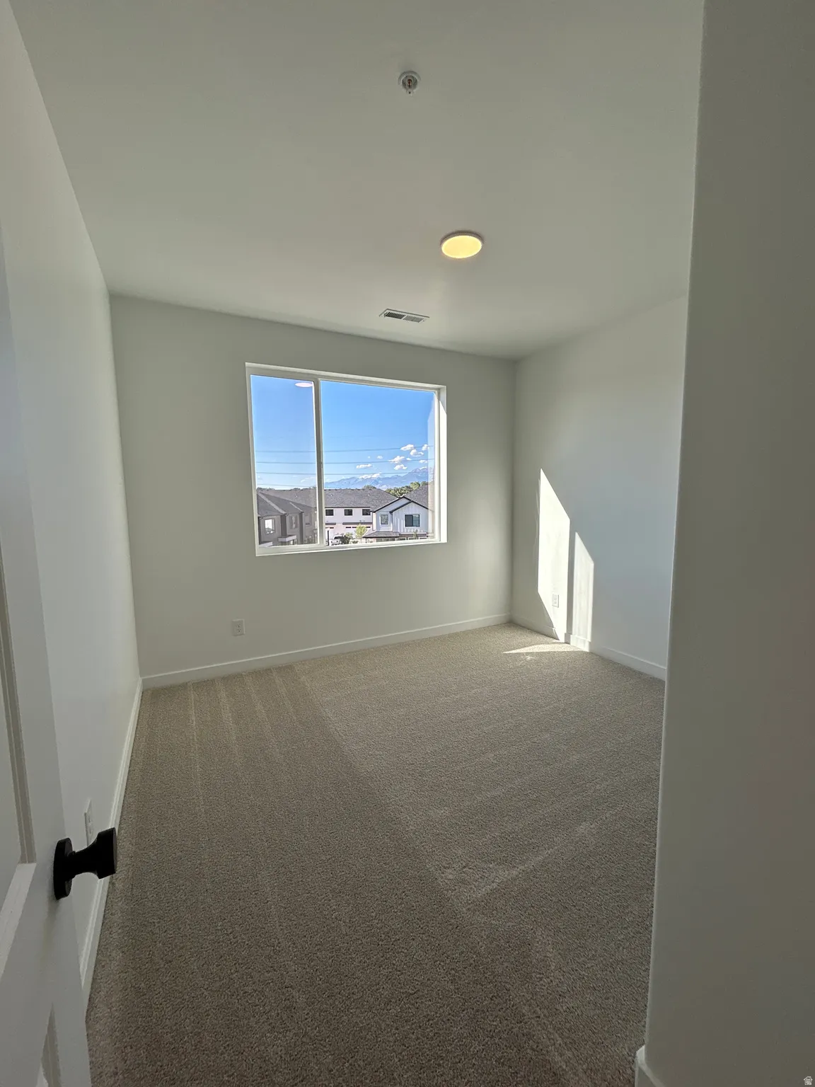 Wall-to-wall carpeting, single window with natural light, and a ceiling-mounted light fixture