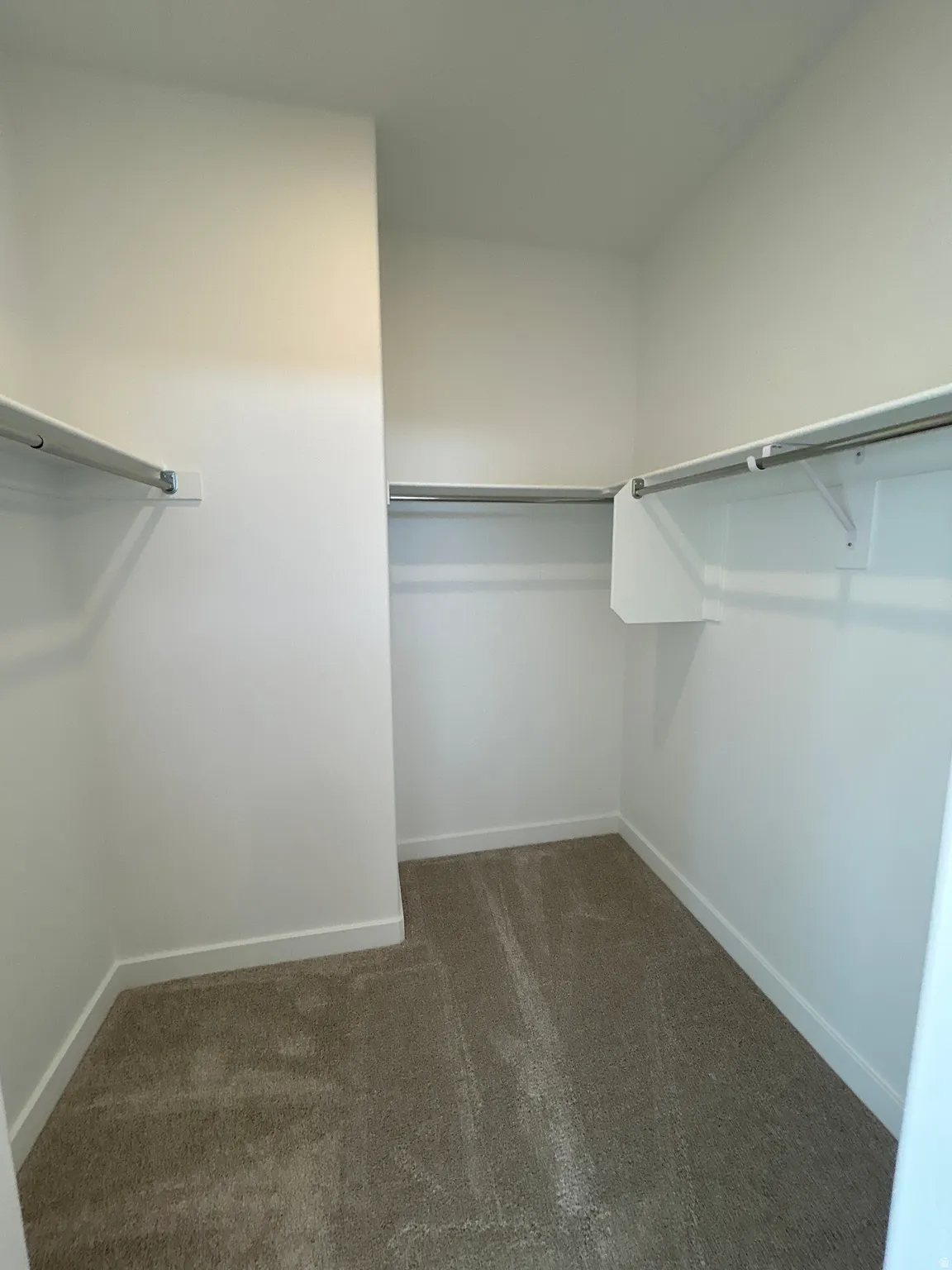 Walk-in closet featuring light-colored carpeting, white walls, and built-in shelving with hanging rods