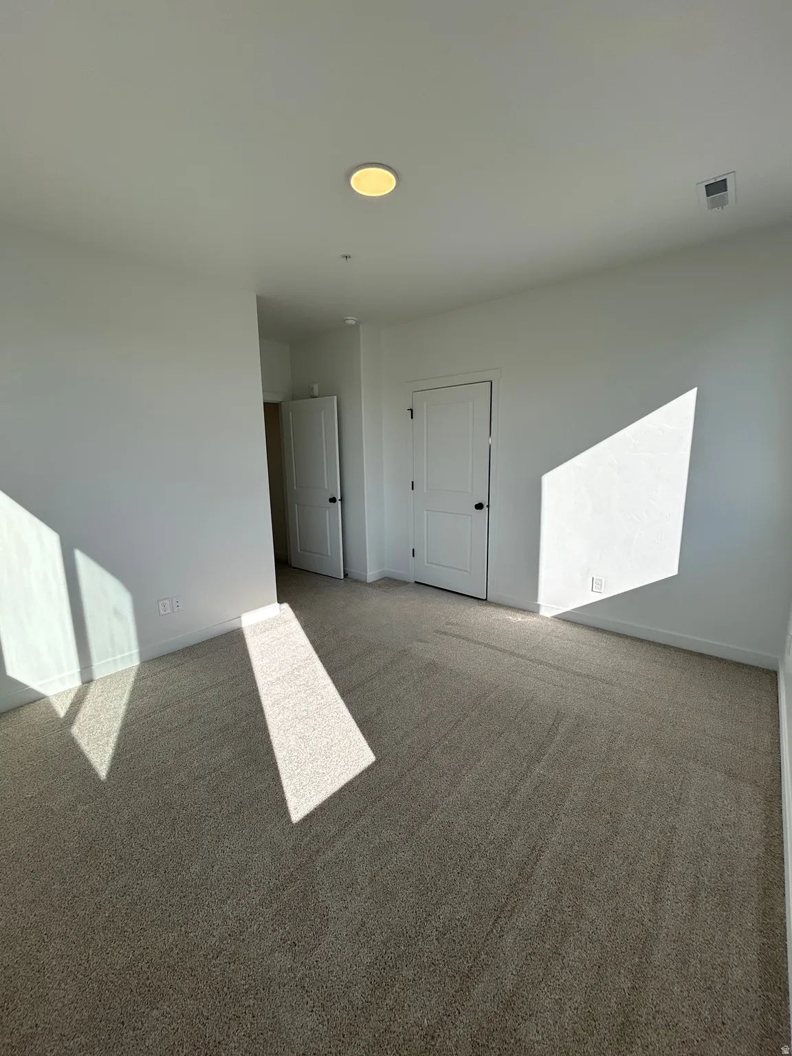 Neutral-toned carpeting, white walls, two interior doors with black hardware, and a ceiling-mounted light fixture