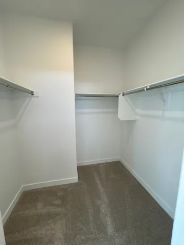 Walk-in closet featuring light-colored carpeting, white walls, and built-in shelving with hanging rods