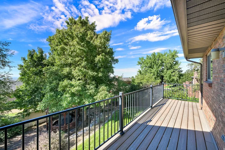 Elevated Trex deck with modern black metal railings overlooking mature landscaping in the backyard.