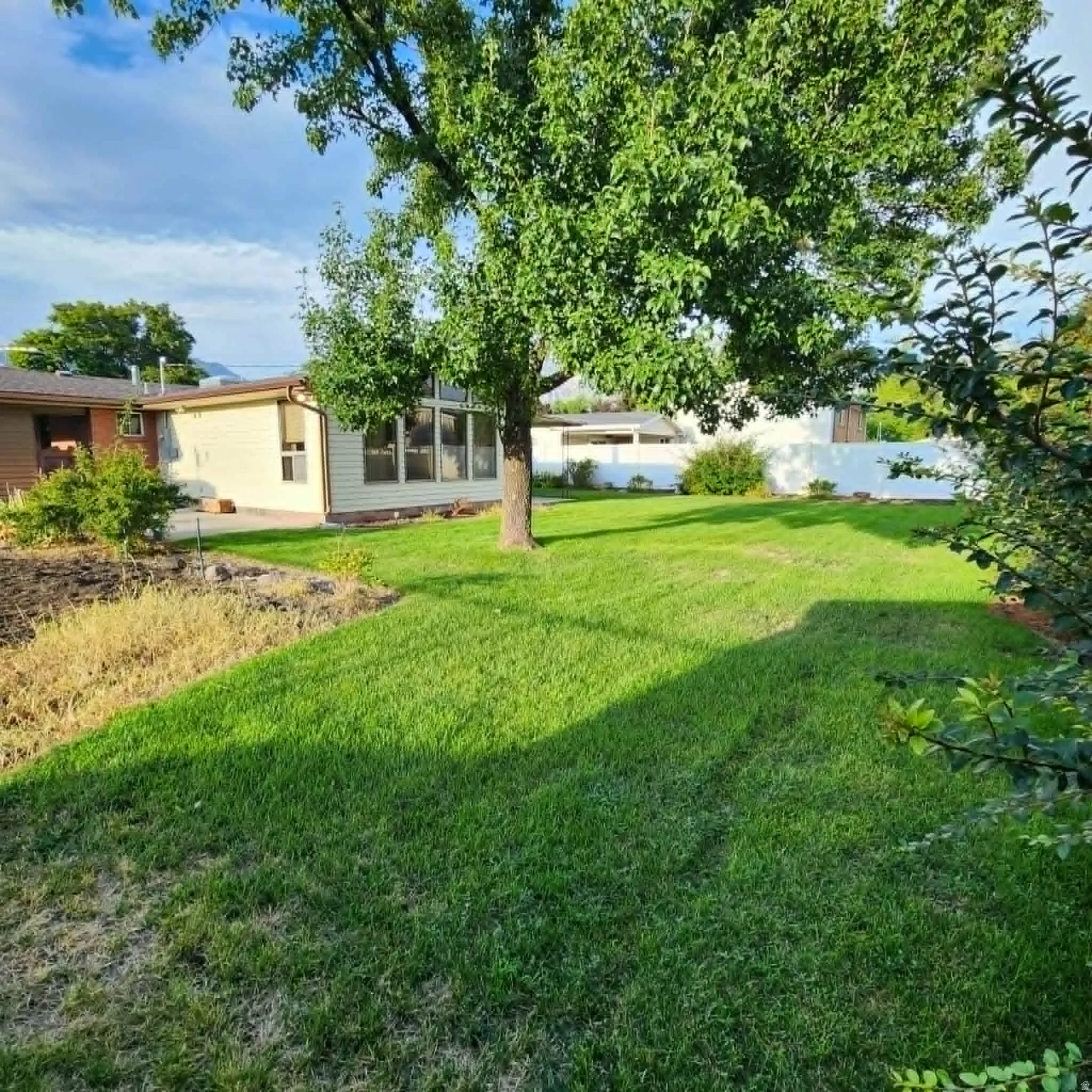 Expansive lawn area with a mature shade tree, a white privacy fence, and a sunroom with multiple windows