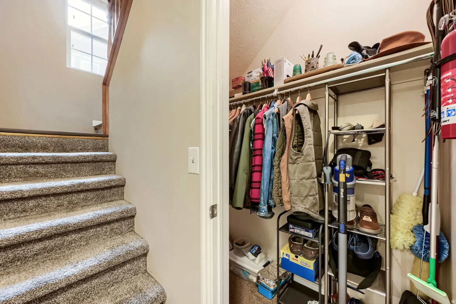 Storage closet under the stairs