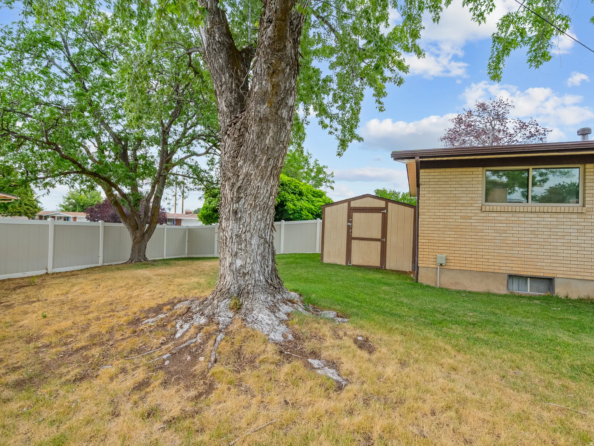 Private backyard with a light-colored privacy fence, mature trees, a storage shed, and a brick exterior dwelling