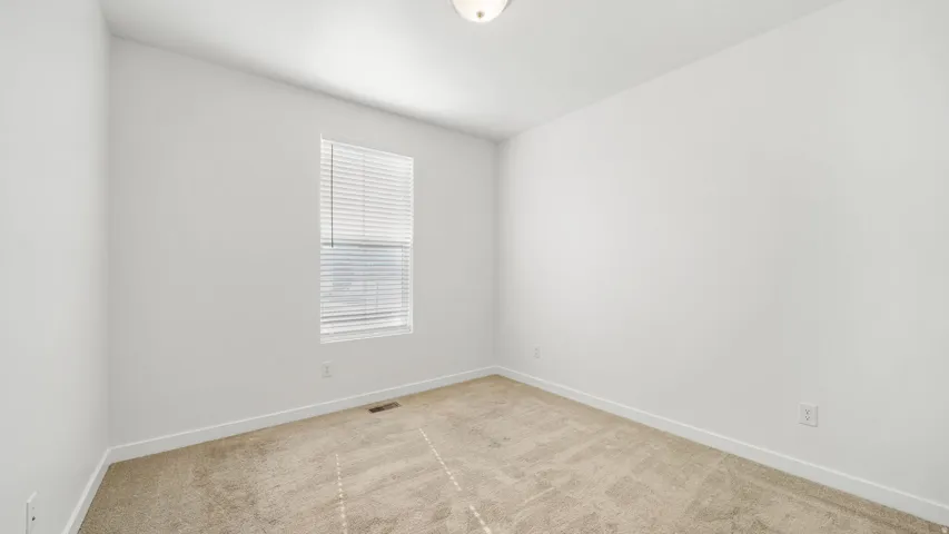 Neutral wall finishes, window with blinds, and carpeted flooring