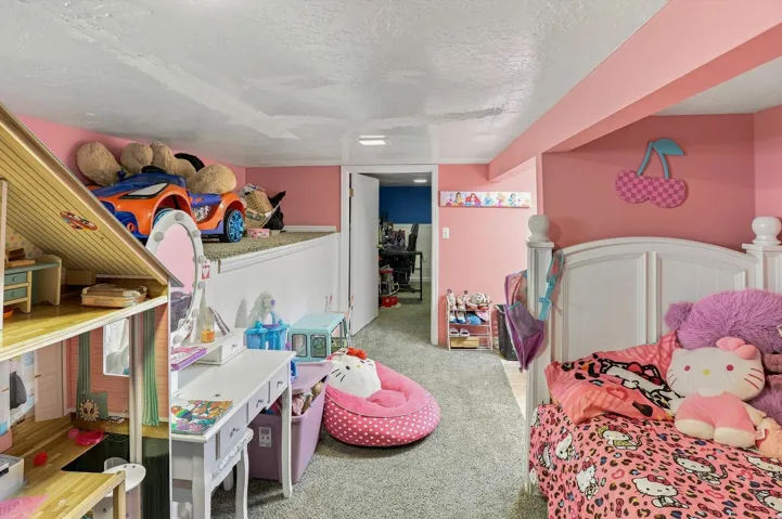 Carpeted flooring with painted walls and a built-in elevated platform