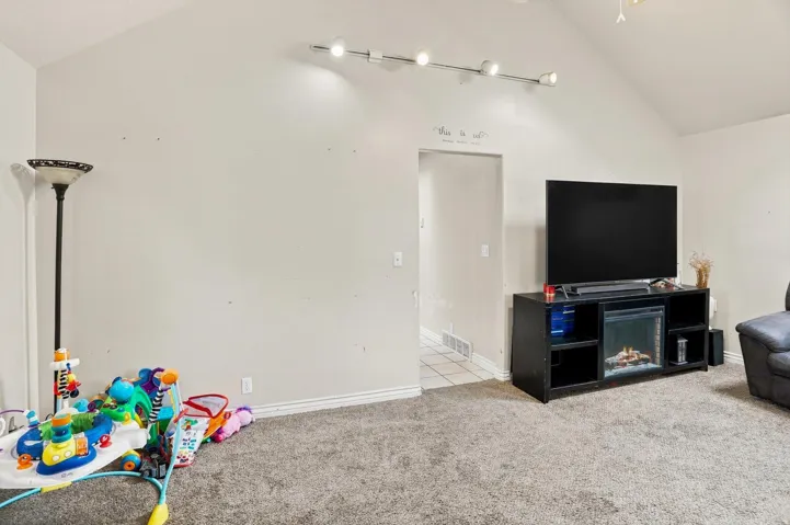 Vaulted ceiling, track lighting, carpeted flooring, wall-mounted electric fireplace, built-in media console