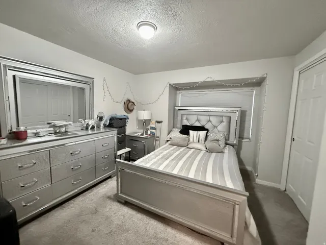 Carpeted bedroom featuring a ceiling-mounted light fixture, and a window with blinds
