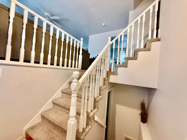Carpeted staircase with white balusters and a coordinated wall finish
