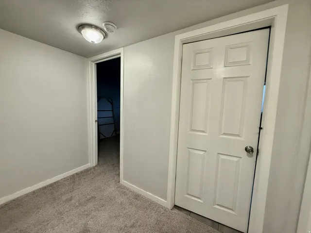 Gray carpeted flooring, white interior doors, and a ceiling-mounted light fixture