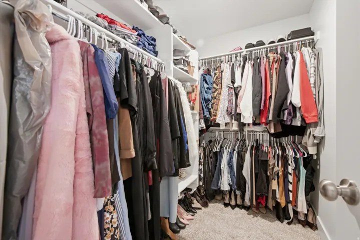 Spacious walk-in closet featuring white built-in shelving, multiple hanging rods for organization, and light gray carpet flooring