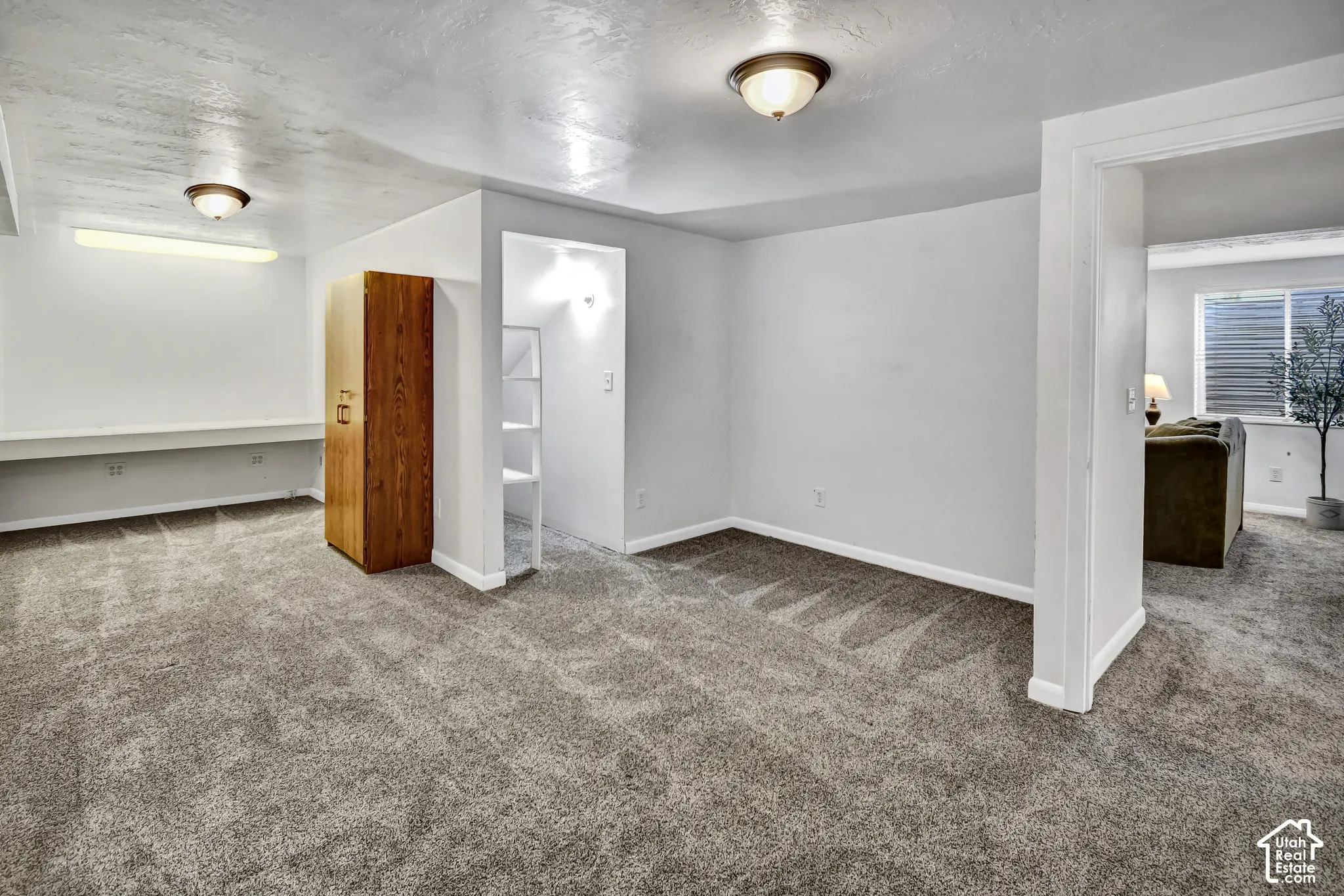 Wall-to-wall carpeting and built-in shelving, complemented by overhead lighting and a wood-finish cabinet