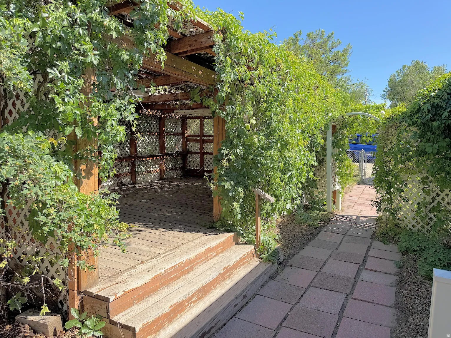 Wood-finish pergola with extensive vine coverage, lattice detailing, and a multi-tiered wood-finish deck
