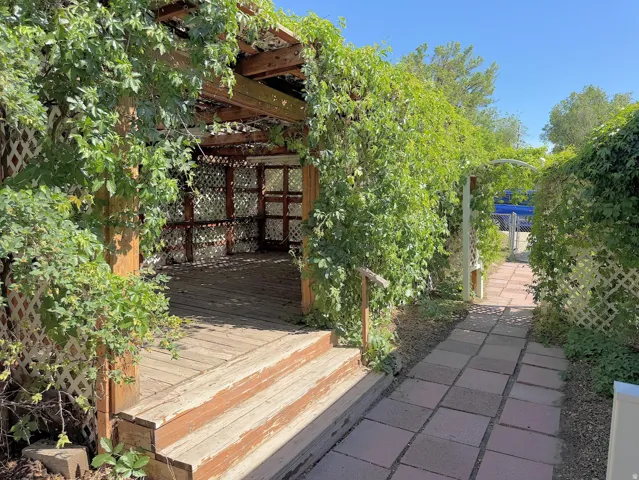 Wood-finish pergola with extensive vine coverage, lattice detailing, and a multi-tiered wood-finish deck