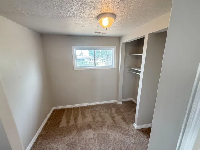 Built-in closet with shelving, plush carpeting, ceiling-mounted light fixture, white trim, and a window