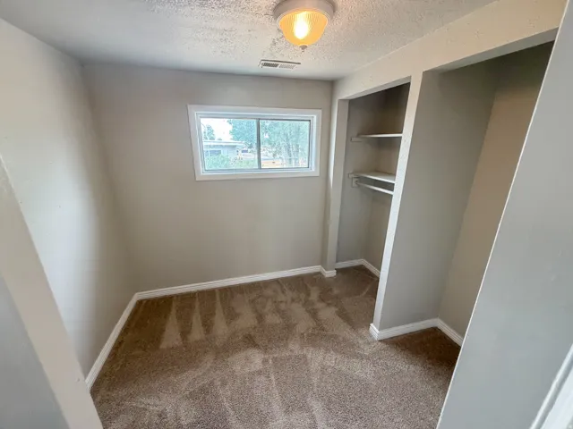 Neutral wall tones, window with white trim, brown carpet, built-in shelving, and a ceiling-mounted light fixture