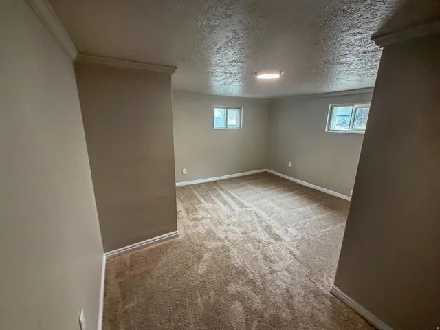 Neutral wall paint, carpeted flooring, two windows, crown molding, and a flush mount ceiling light