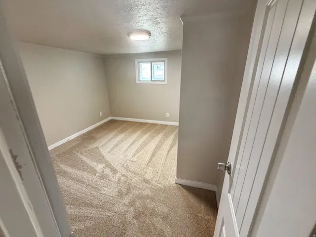 Neutral tone wall paint, light-colored carpeting, white trim, window, and flush mount light fixture