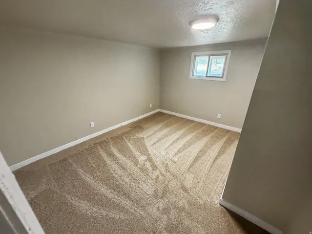 Neutral-toned wall paint, light brown carpeting, single window, and flush-mount ceiling light fixture