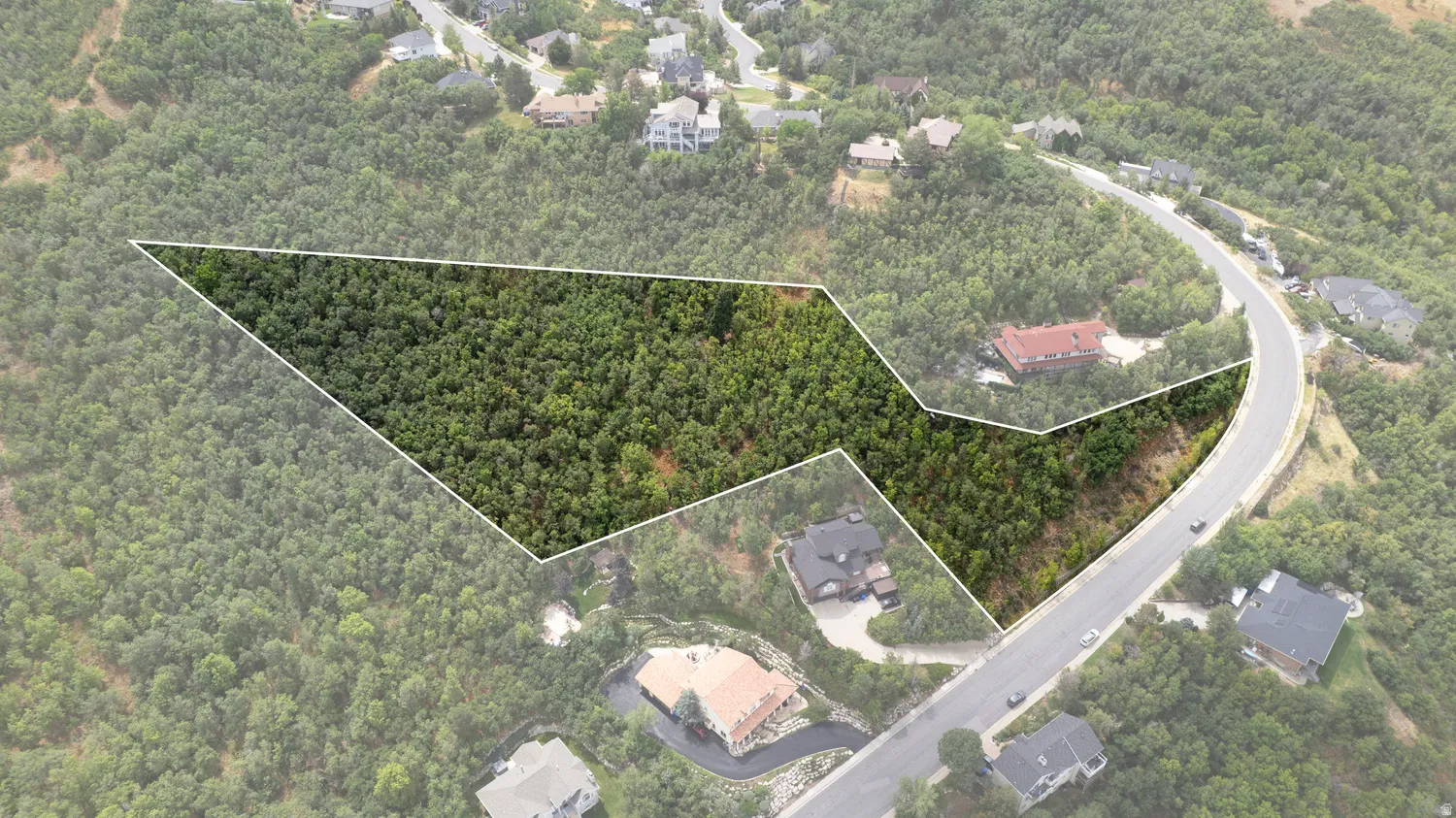 Wooded lot with direct road frontage