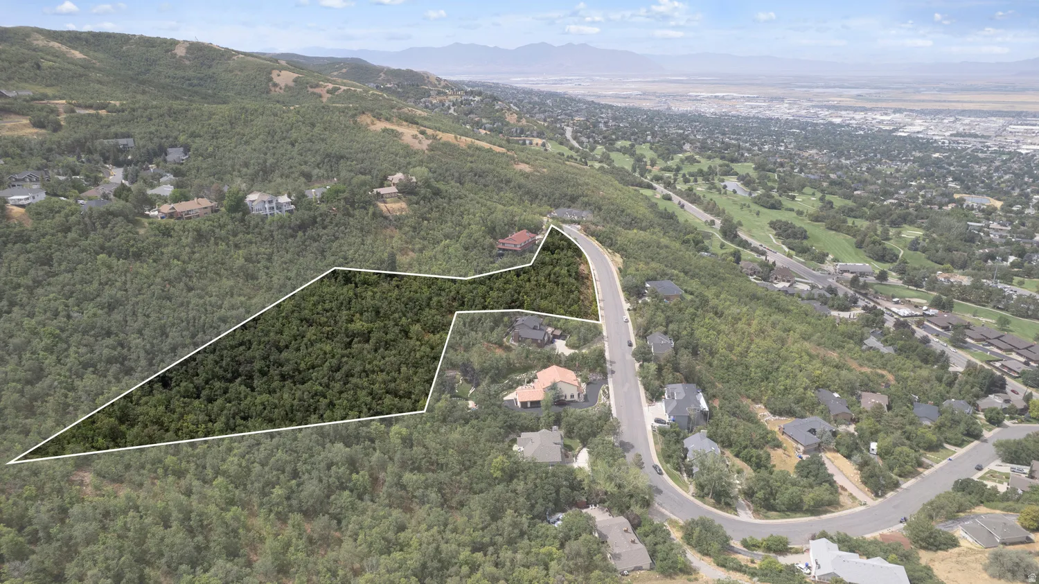 Expansive wooded lot on a sloped hillside, featuring dense tree cover and a paved roadway