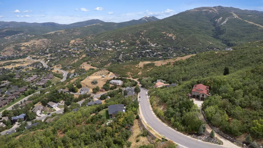 Mountainous terrain with lush vegetation and residential structures