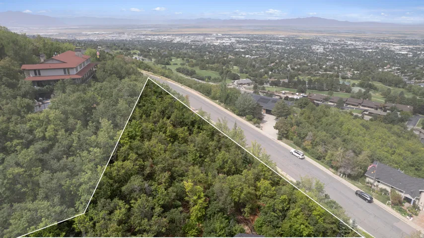 Treelined lot with paved road frontage and urban landscape backdrop