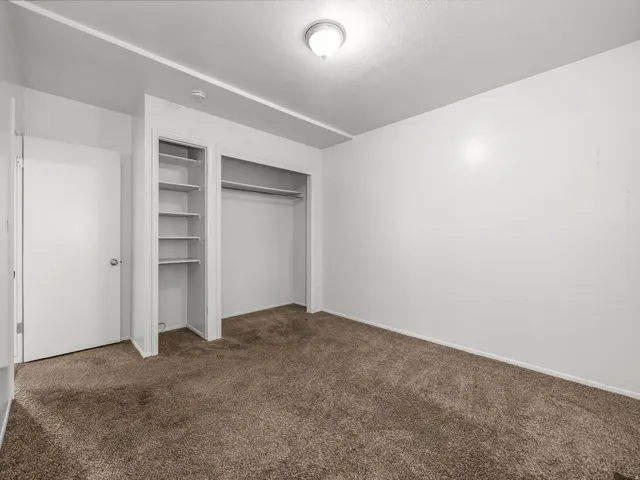 Spacious bedroom featuring neutral carpeting, a large reach-in closet with shelving and hanging rod, and an additional storage closet